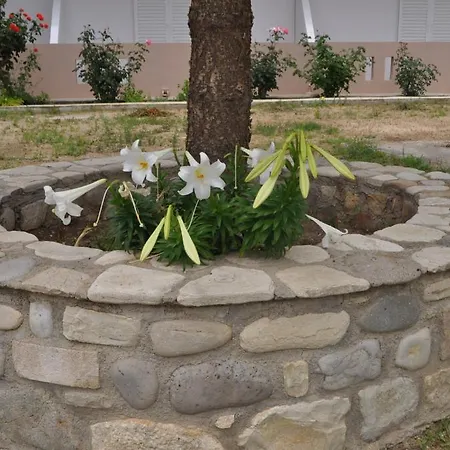 Vasilis דירה *