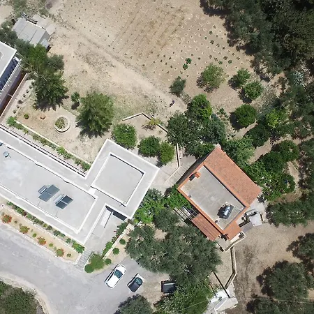 Apartment Vasilis Kos Town